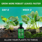 Easy Green All - in - One Fertilizer - Aquarium Co - Op