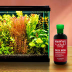 Easy Iron - Aquarium Co - Op