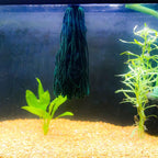 Easy Spawning Mop - Aquarium Co - Op