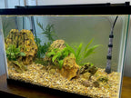 Easy Undergravel Filter System - Aquarium Co-Op