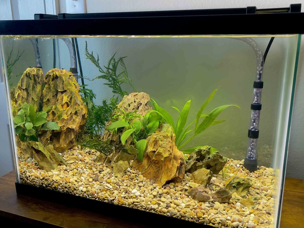 Easy Undergravel Filter System - Aquarium Co-Op