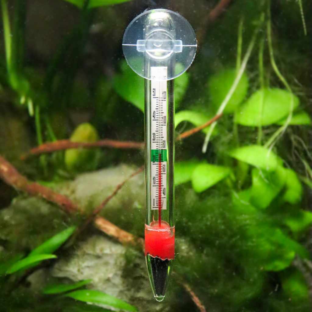 Floating Glass Thermometer - Aquarium Co - Op
