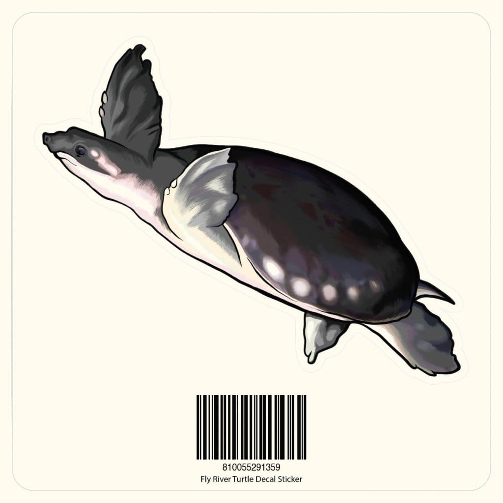 Fly River Turtle Decal Sticker - Aquarium Co - Op