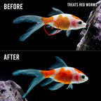 Fritz Expel - P - Aquarium Co - Op