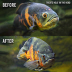 Fritz ParaCleanse - Aquarium Co - Op