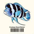 Frontosa Decal Sticker - Aquarium Co - Op