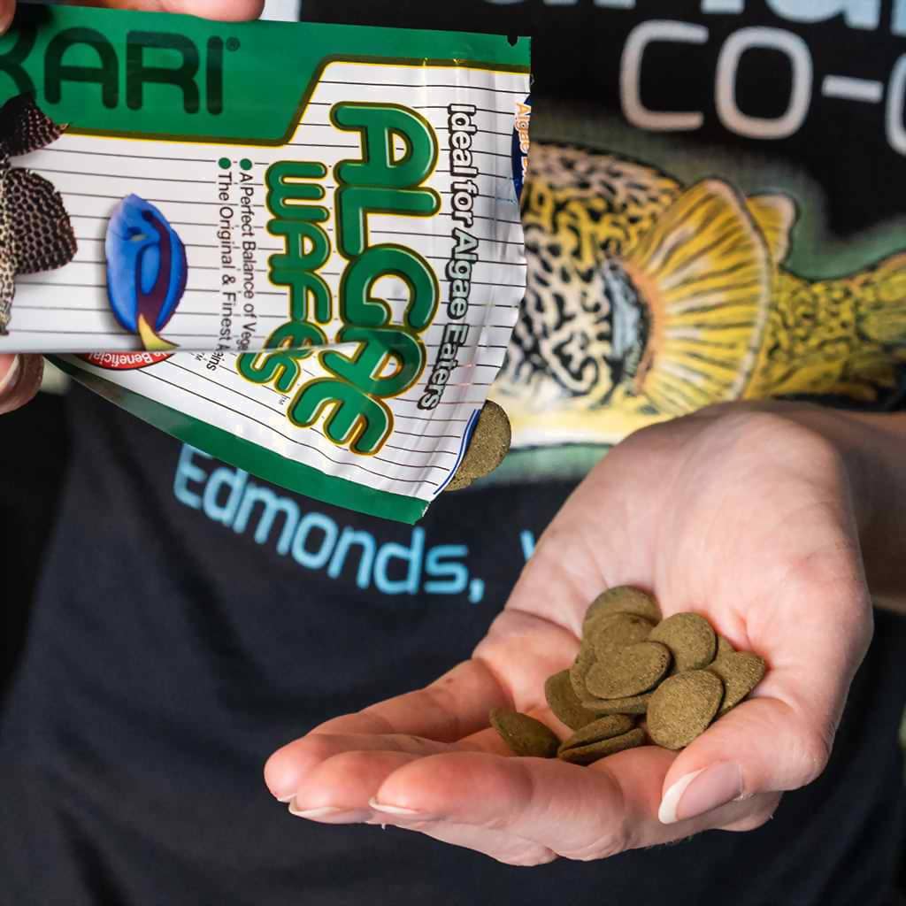 Hikari Algae Wafers - Aquarium Co - Op