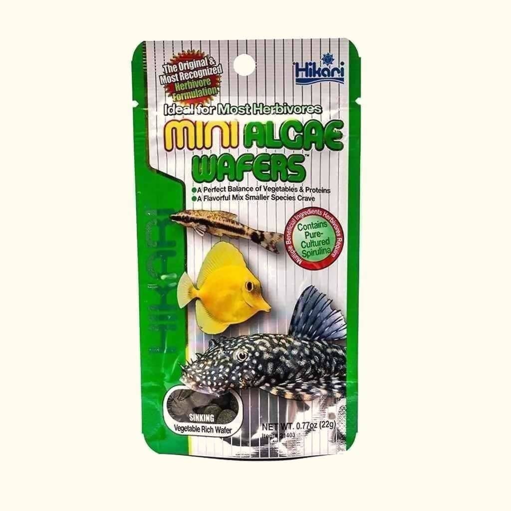 Hikari Mini Algae Wafers - Aquarium Co - Op