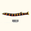 Kuhli Loach Decal Sticker - Aquarium Co - Op