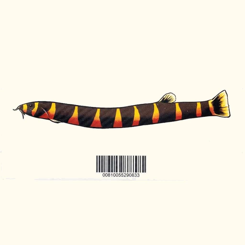 Kuhli Loach Decal Sticker - Aquarium Co - Op