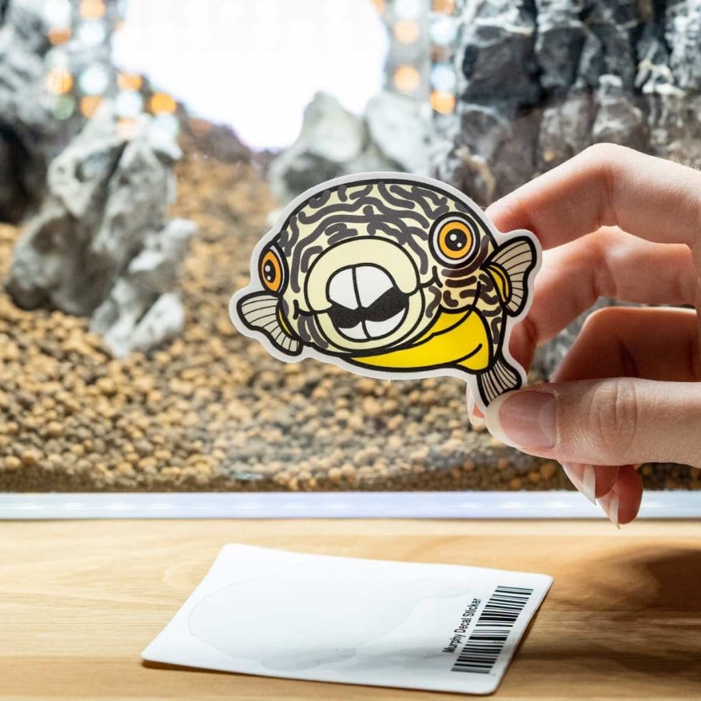 Murphy Decal Sticker - Aquarium Co - Op