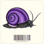 Mystery Snail Decal Sticker - Aquarium Co - Op