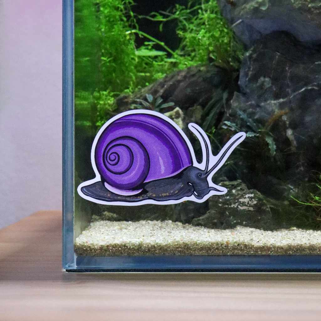 Mystery Snail Decal Sticker - Aquarium Co - Op