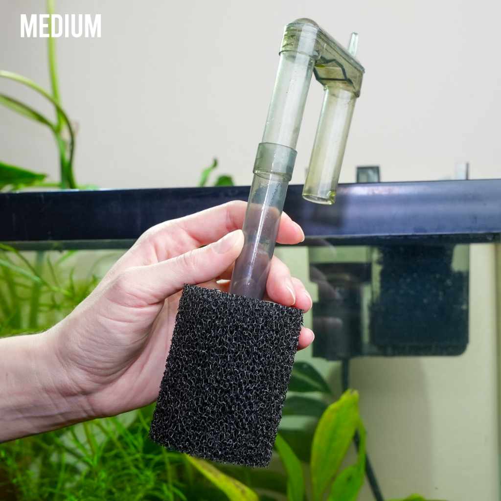 Pre Filter Sponge - Aquarium Co - Op