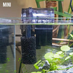 Pre Filter Sponge - Aquarium Co - Op