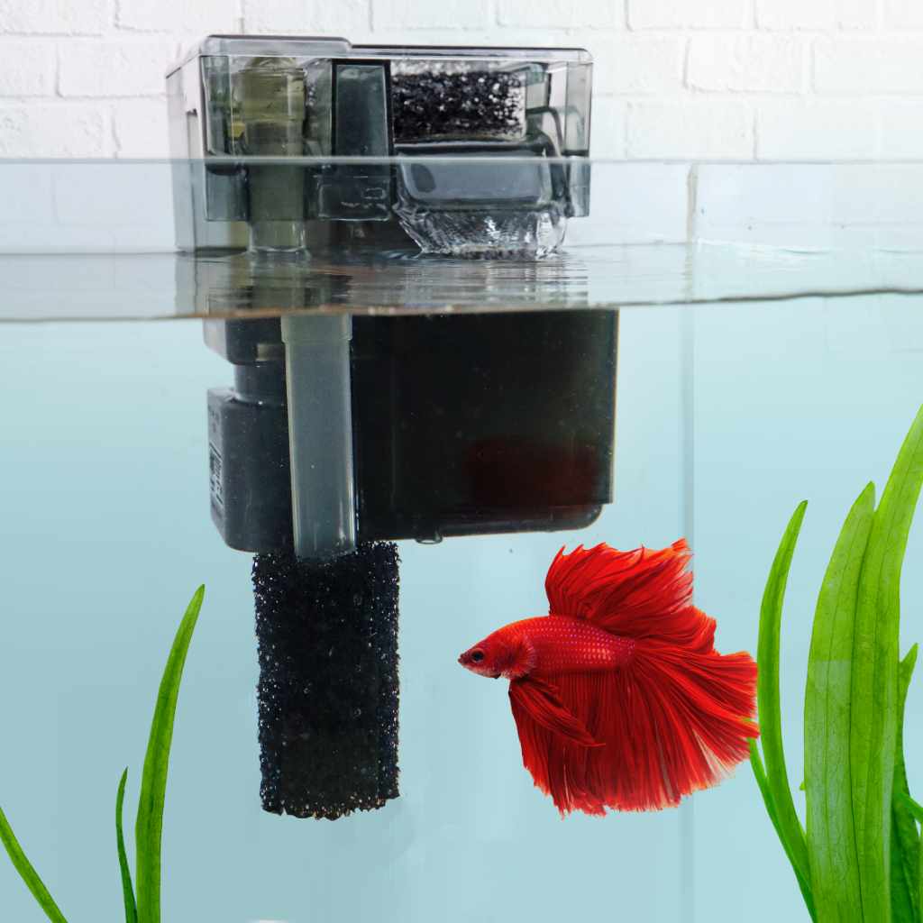 Pre Filter Sponge - Aquarium Co - Op