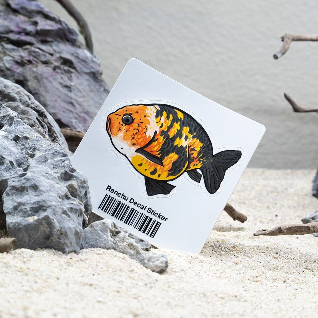 Ranchu Decal Sticker - Aquarium Co - Op