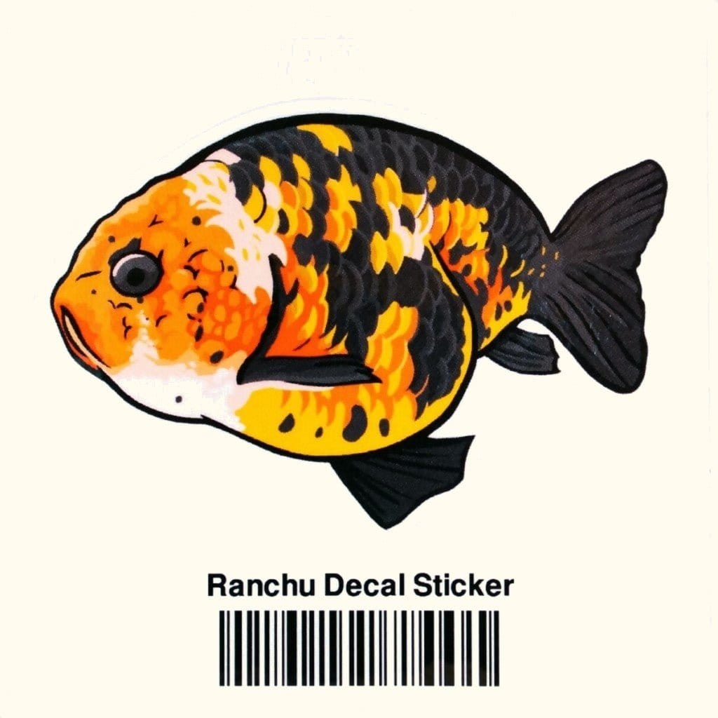 Ranchu Decal Sticker - Aquarium Co - Op