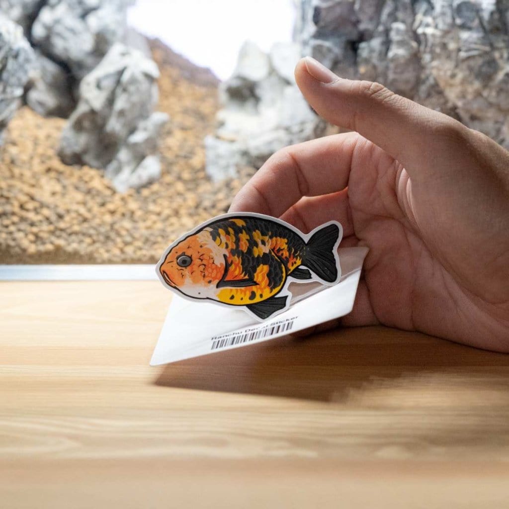 Ranchu Decal Sticker - Aquarium Co - Op