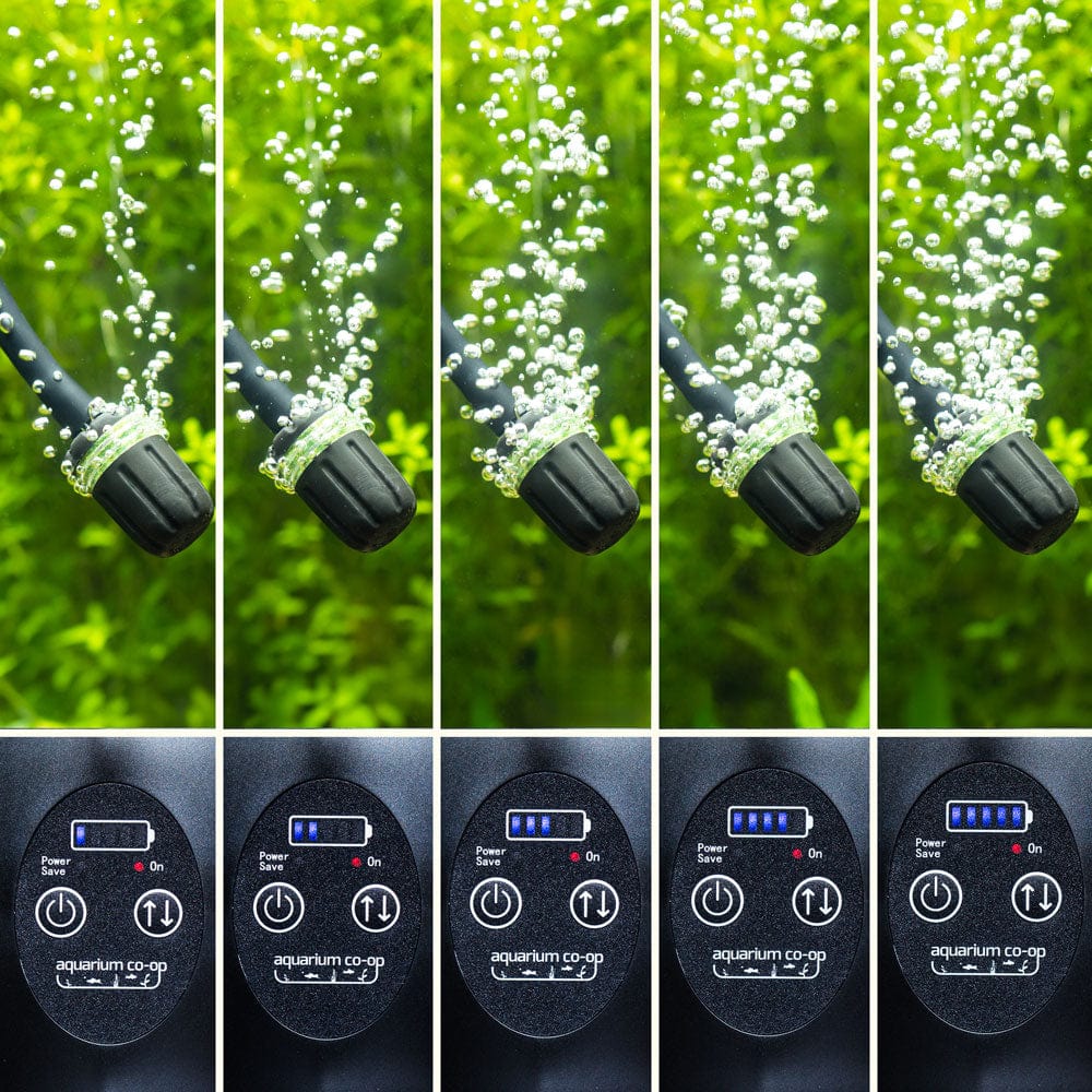 Scratch and Dent Aquarium Co - Op Air Pump with Battery Backup - Aquarium Co - Op