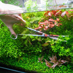 Scratch and Dent Curved Aquarium Plant Scissors - Aquarium Co - Op