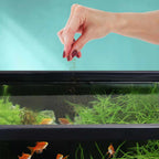 Scratch and Dent Easy Community Floating Pellets - Aquarium Co - Op