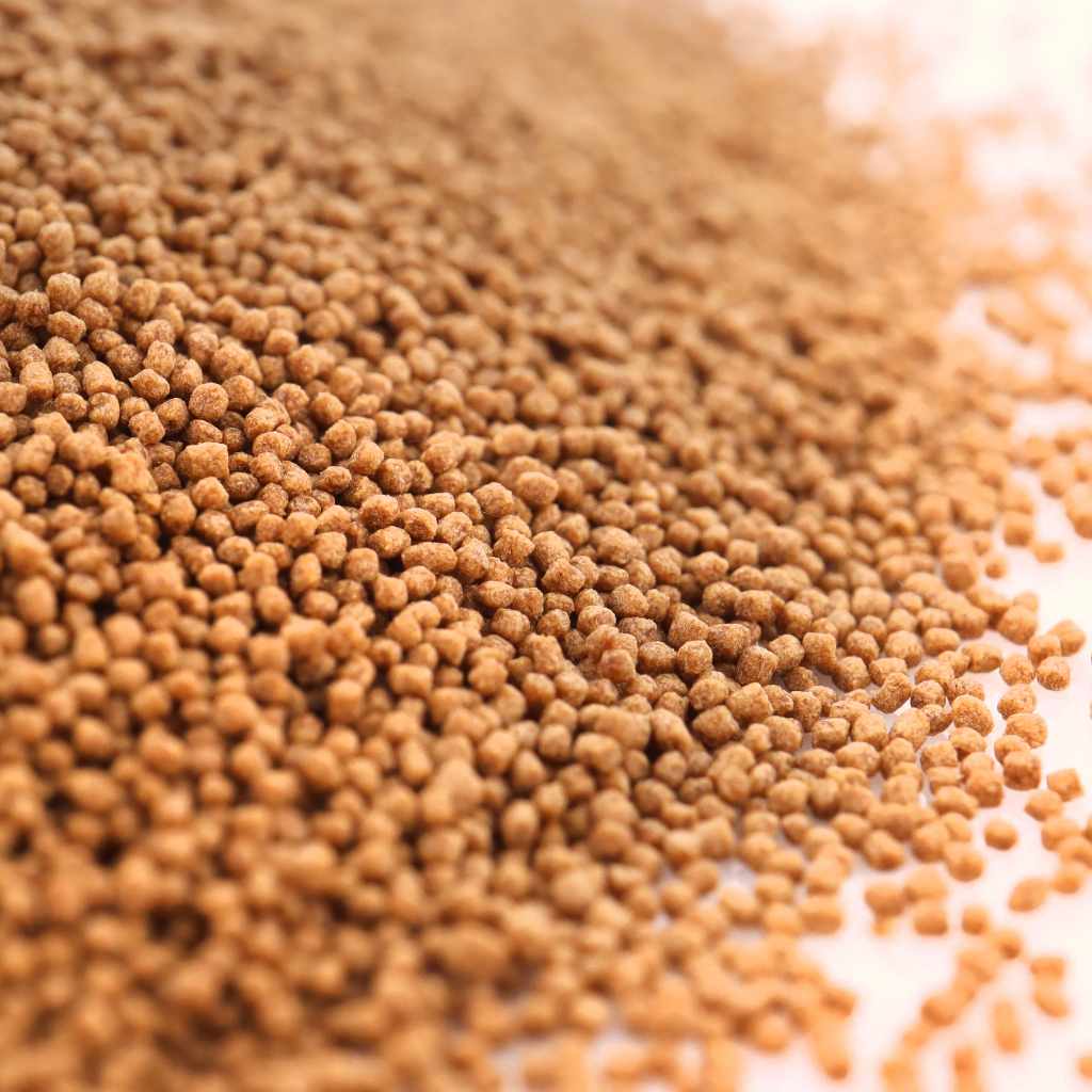 Scratch and Dent Easy Community Floating Pellets - Aquarium Co - Op