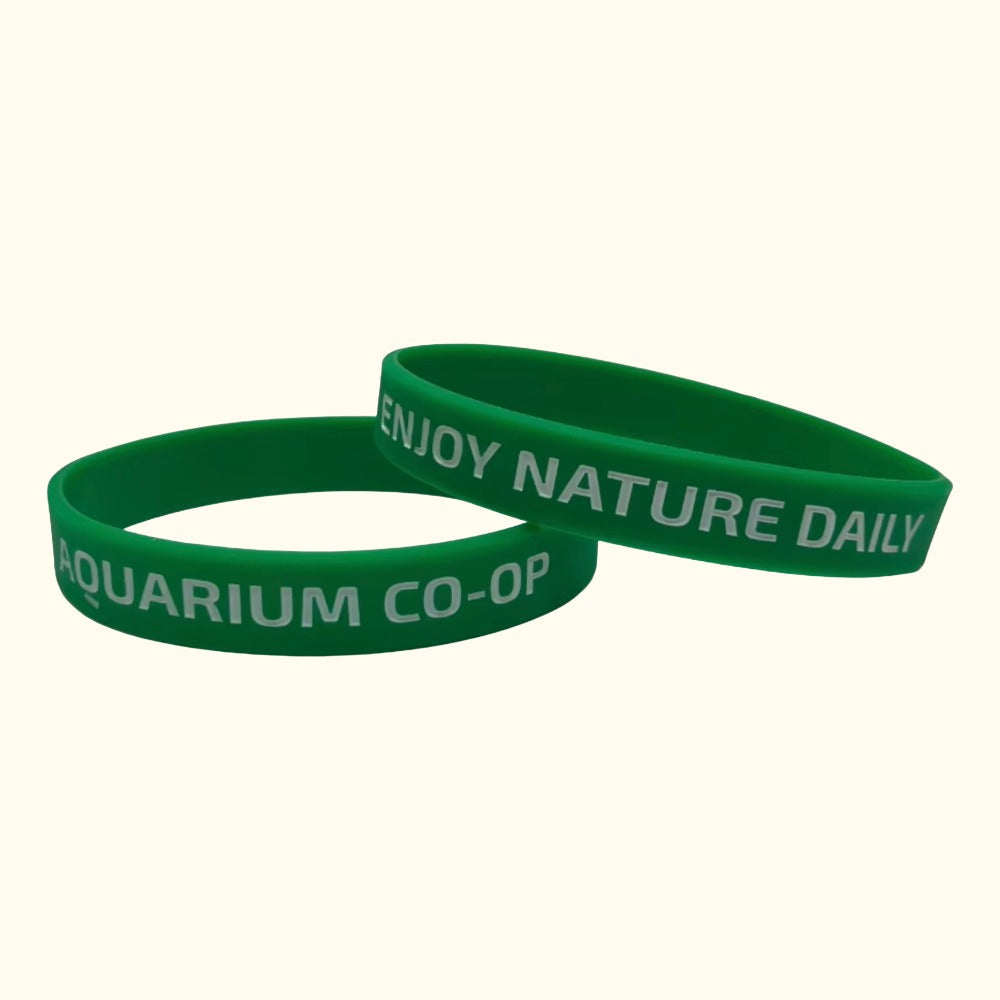 Enjoy Nature Daily Silicone Bracelet