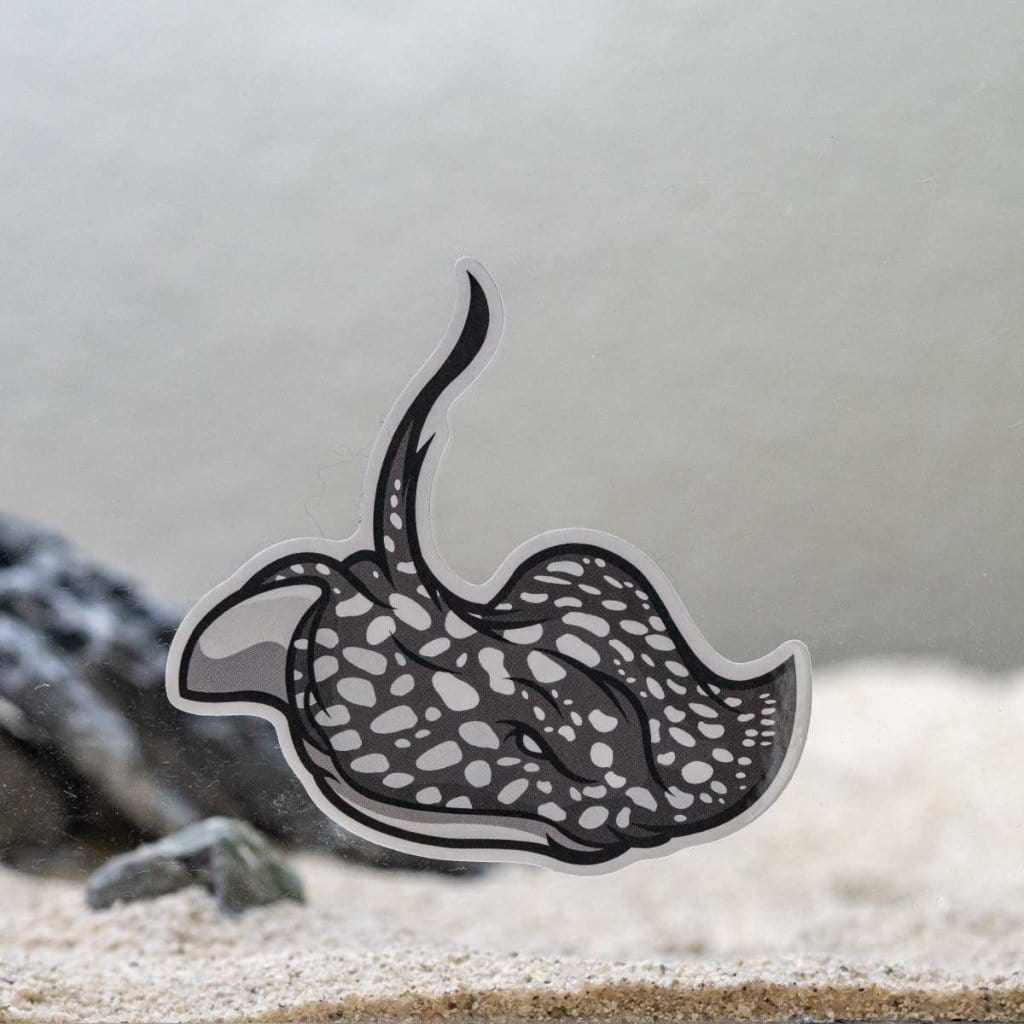 Stingray Decal Sticker - Aquarium Co - Op