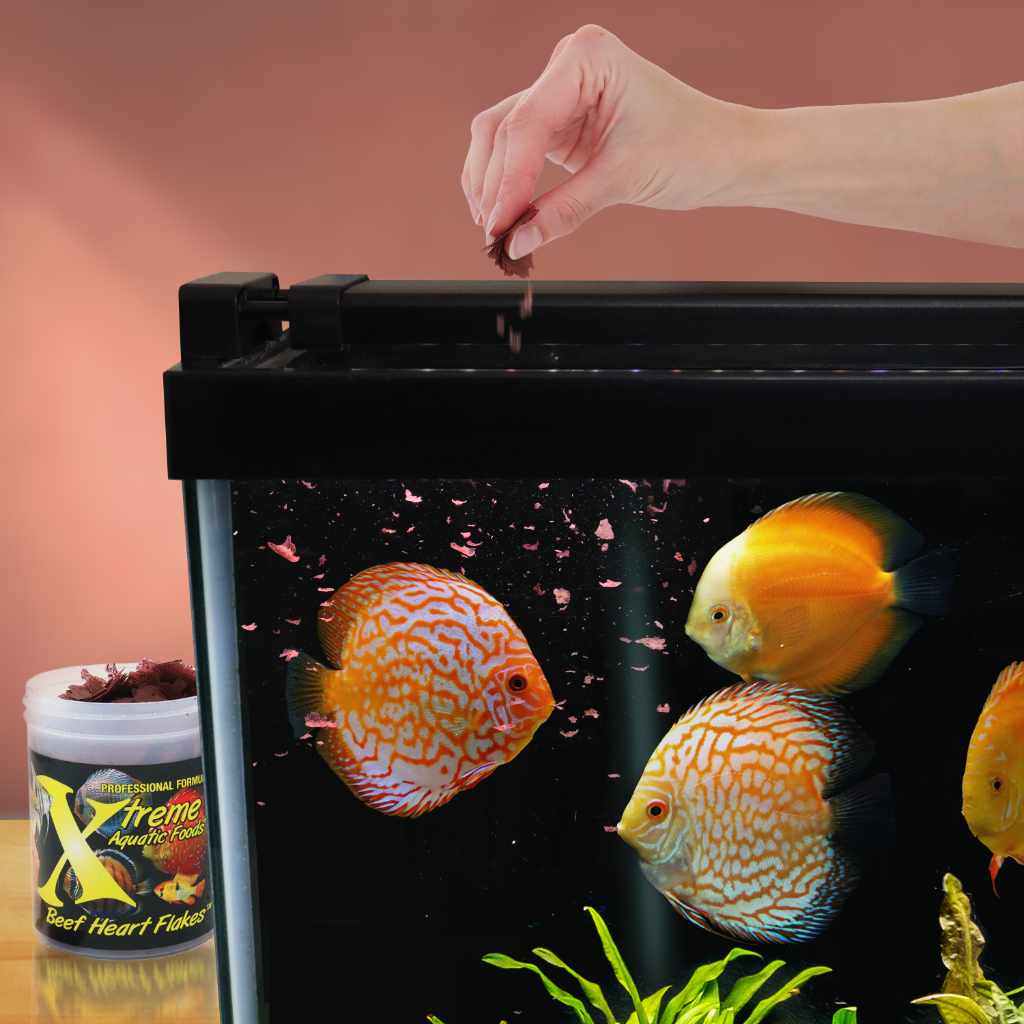 Xtreme Beef Heart Flakes - Aquarium Co - Op