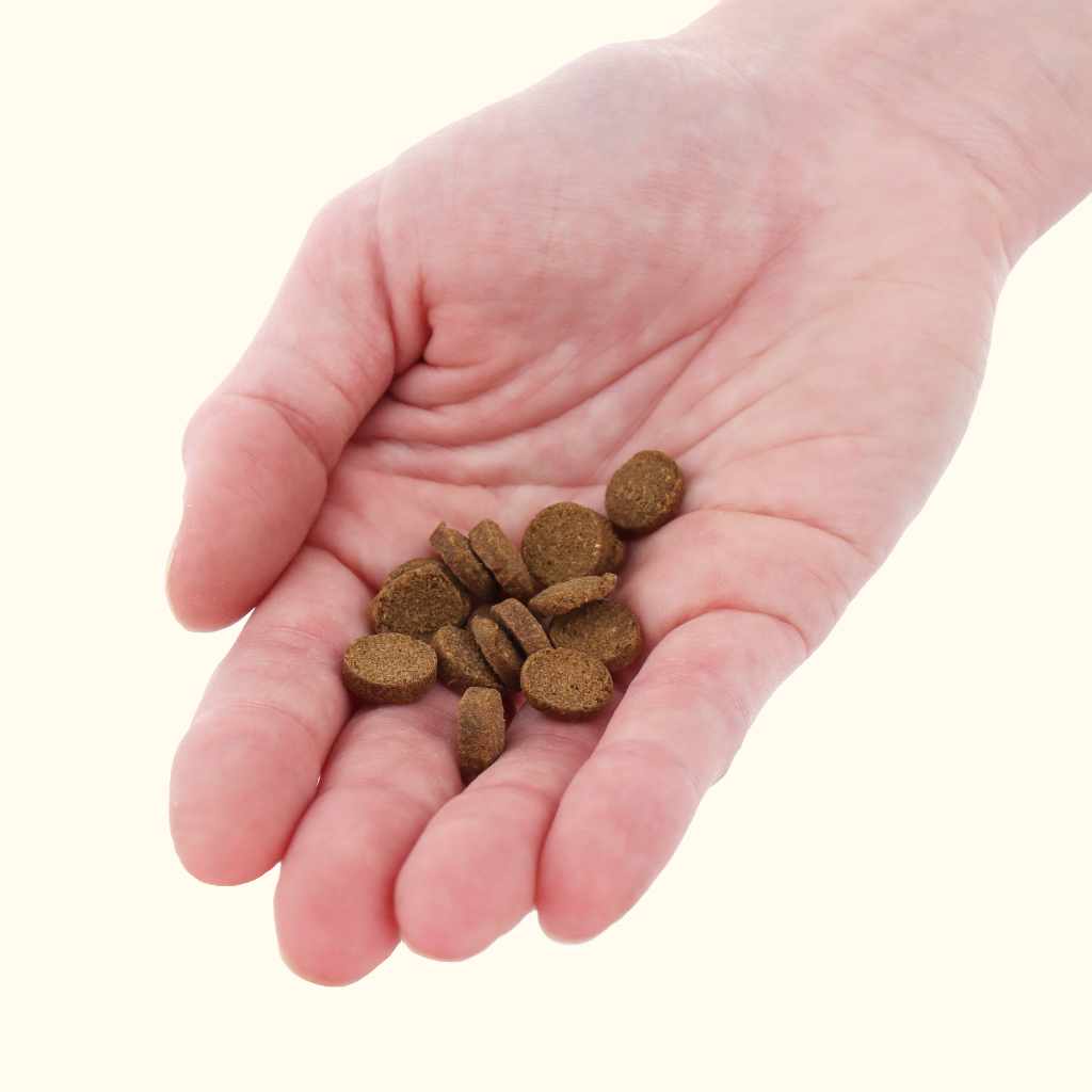 Xtreme Bottom Wafers - Aquarium Co - Op