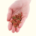 Xtreme Community Crave Flakes - Aquarium Co - Op