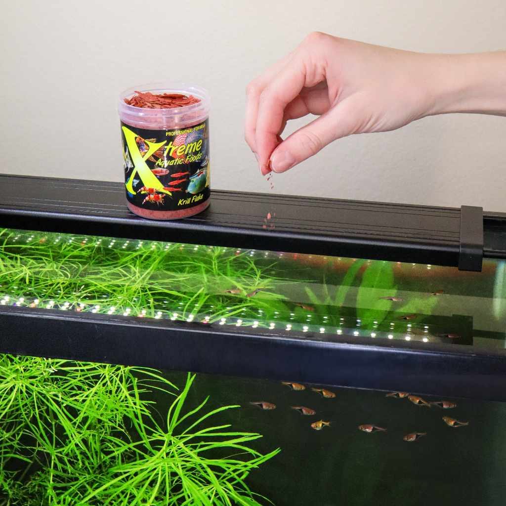 Xtreme Krill Flakes - Aquarium Co - Op