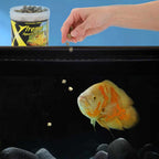 Xtreme Monster - Aquarium Co - Op