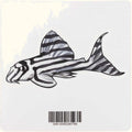 Zebra Pleco Decal Sticker - Aquarium Co - Op